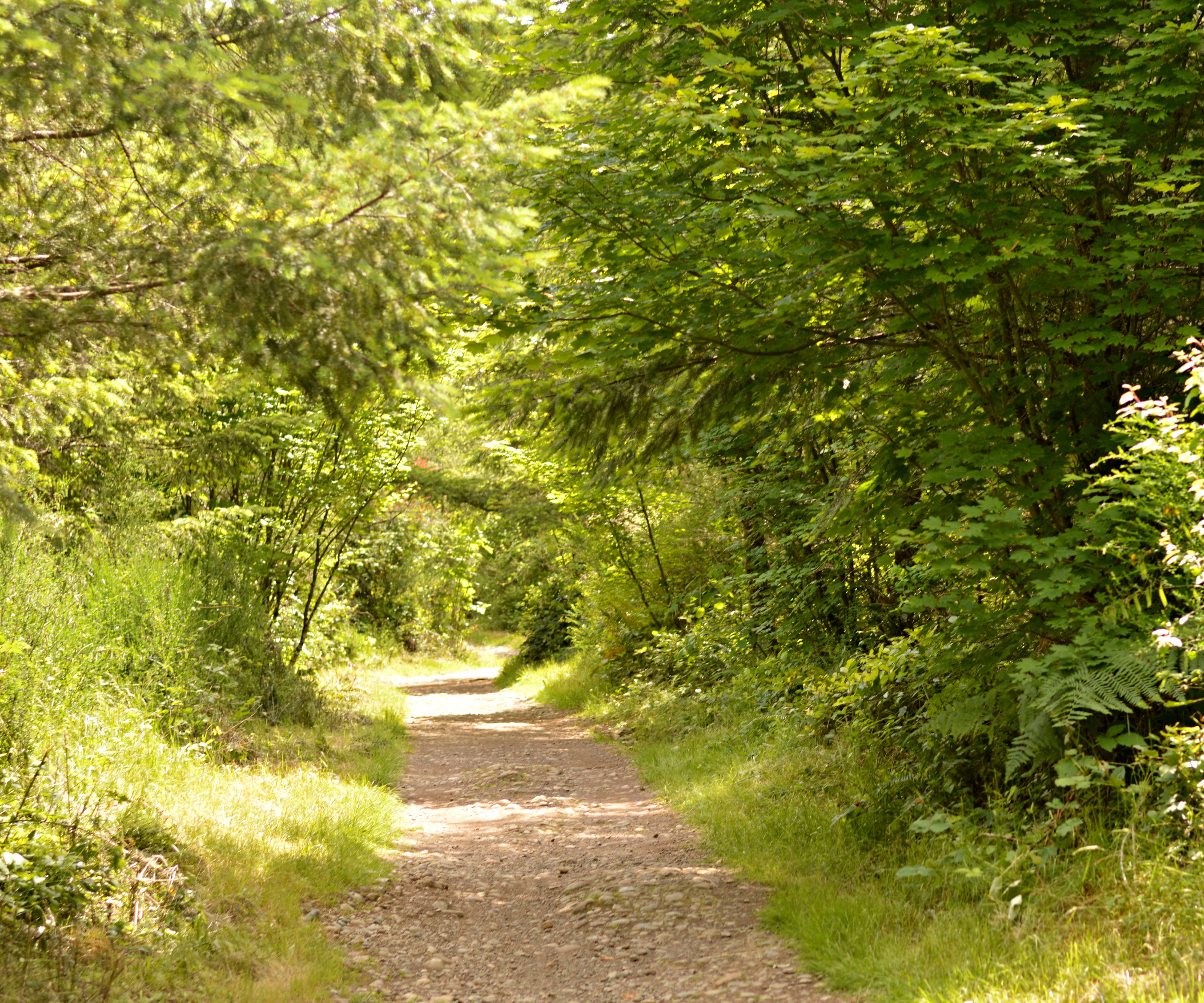 black diamond natural area