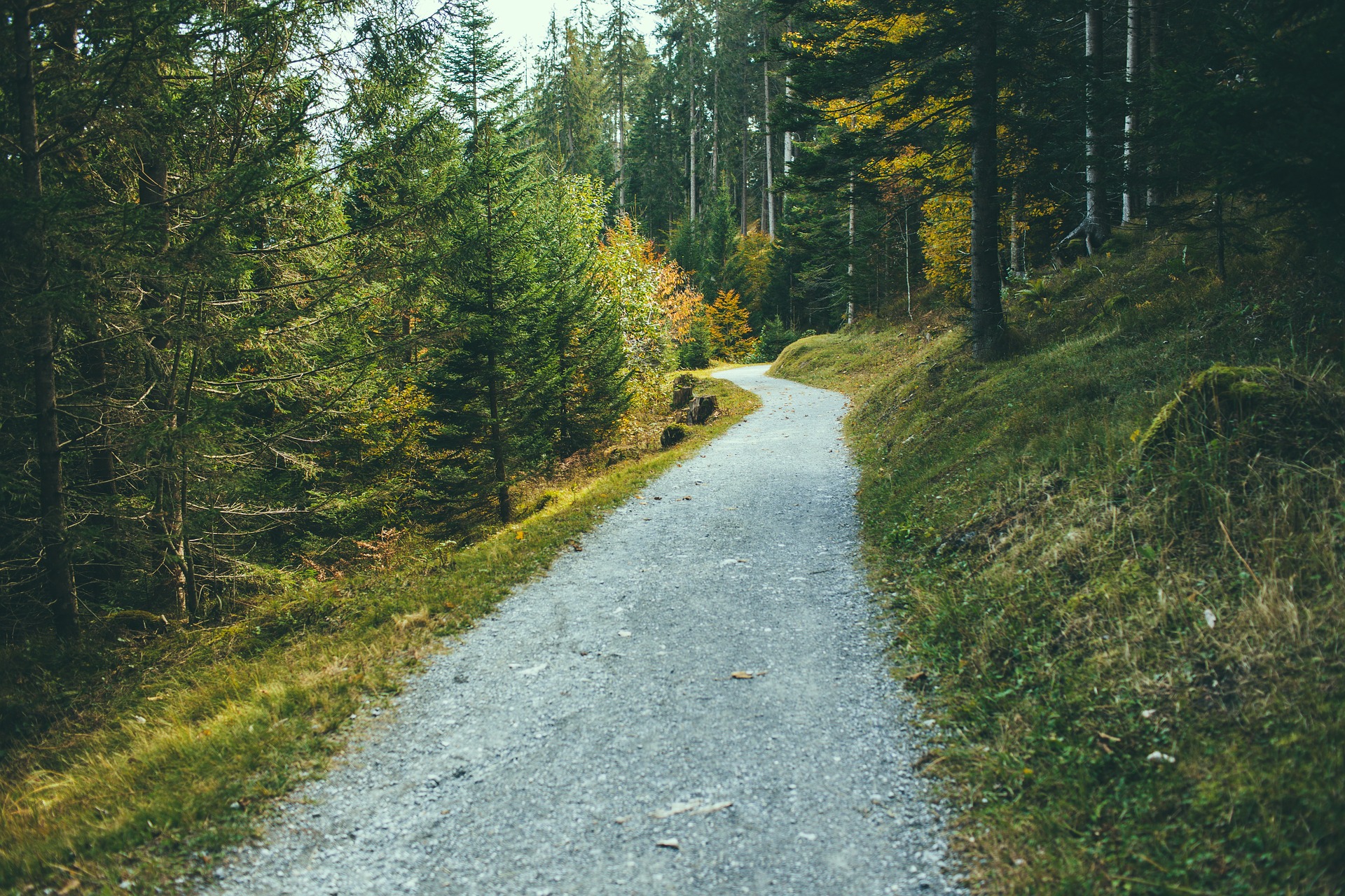 Mount Si — Washington Trails Association